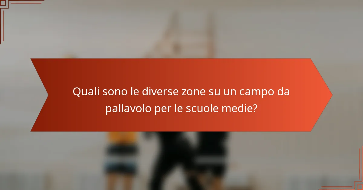 Quali sono le diverse zone su un campo da pallavolo per le scuole medie?